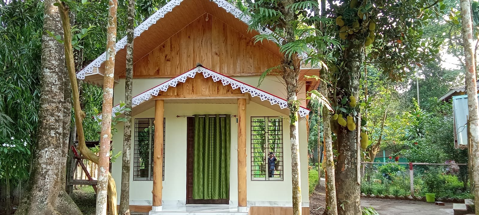 Premium Valley View cottage(Only Room)